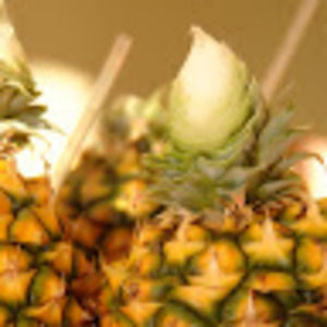 Meet your Posher, Joanne